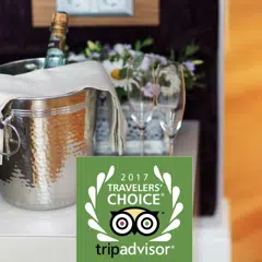 https://italy29.com/reviews/